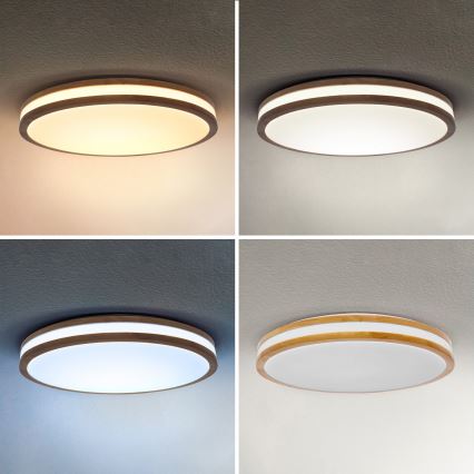 Brilagi - димируемо LED таванно осветително тяло MOLINA LED/60W/230V 3000-6500K дъб Ø 58 см + дистанционно управление