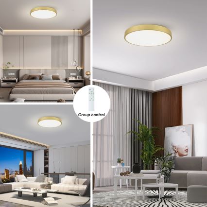 Brilagi - LED димируемо таванно осветително тяло POOL SMART LED/100W/230V 3000-6000K 80 cm златисто Wi‑Fi Tuya + дистанционно управление