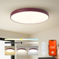 Brilagi - Димируемо LED осветително тяло POOL SMART LED/100W/230V Ø 80 cm 3000-6000K Wi-Fi Tuya + дистанционно управление бордо