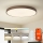 Brilagi - Димируемо LED осветително тяло POOL SMART LED/128W/230V Ø 100 см 3000-6000K Wi-Fi Tuya + дистанционно управление кафяво