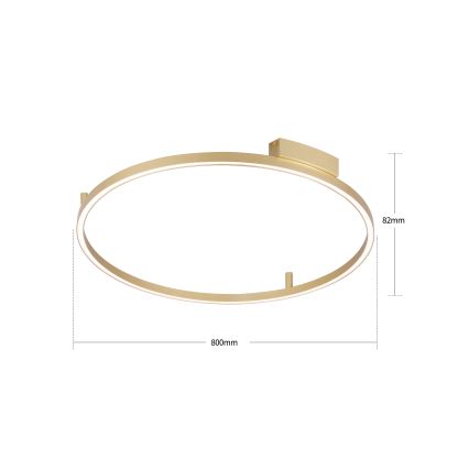 Brilagi - димируем LED таванен плафон PORTOFINO LED/60W/230V 3000-6000K pr. 80 cm златен + дистанционно управление