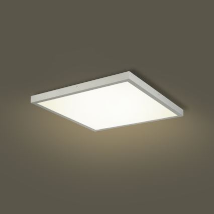 Brilagi - LED осветително тяло за баня с димиране FRAME SMART LED/50W/230V 60x60 cm 3000-6000K IP44 сребристо + дистанционно управление