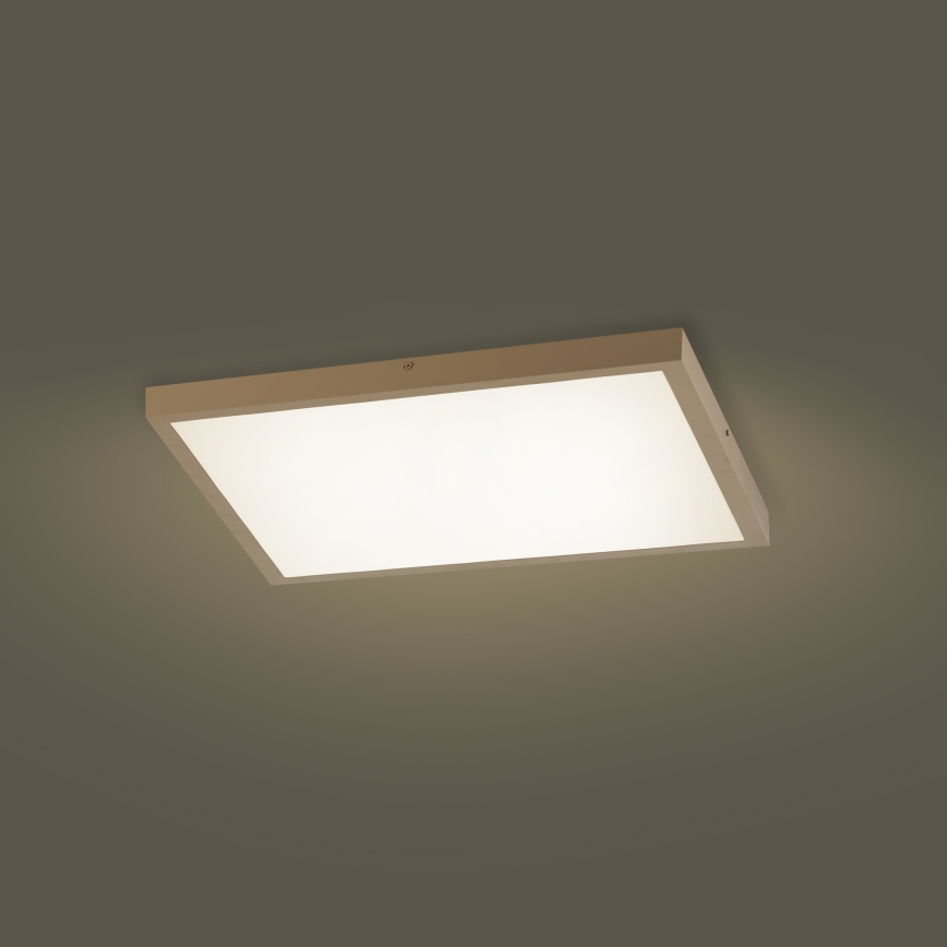 Brilagi - LED димируемо таванно осветително тяло за баня FRAME SMART LED/50W/230V 60x60 cm 3000-6000K IP44 бежово + дистанционно управление