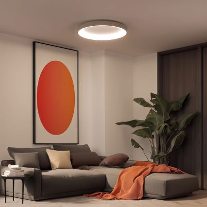 BRILAGI - LED димируемо таванно осветително тяло FALCON II LED/108W/230V 3000-6500K Ø 80 см бял/бежов + дистанционно управление