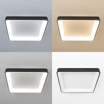 Brilagi - LED димируемо таванно осветително тяло FALCON II LED/125W/230V 3000-6500K 60x60 см черно + дистанционно управление