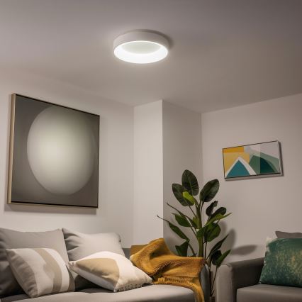 Brilagi - LED димируемо таванно осветително тяло FALCON LED/40W/230V 3000-6500K Ø 45 см бяло + дистанционно управление