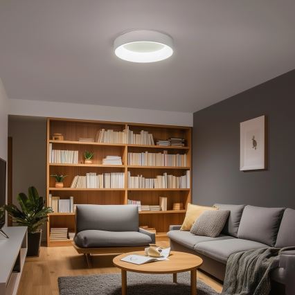 Brilagi - LED димируемо таванно осветително тяло FALCON LED/40W/230V 3000-6500K Ø 45 см бяло + дистанционно управление