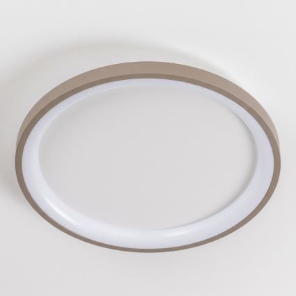 BRILAGI - LED Димируема таванна лампа FALCON SLIM LED/42W/230V 3000-6500K Ø 50 cm бял/бежов + дистанционно управление