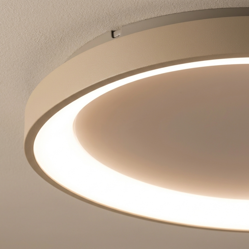 BRILAGI - LED Димируема таванна лампа FALCON SLIM LED/42W/230V 3000-6500K Ø 50 cm бял/бежов + дистанционно управление