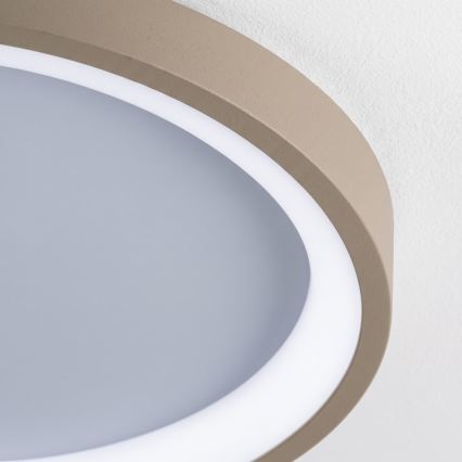 BRILAGI - LED Димируема таванна лампа FALCON SLIM LED/42W/230V 3000-6500K Ø 50 cm бял/бежов + дистанционно управление