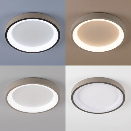BRILAGI - LED Димируема таванна лампа FALCON SLIM LED/42W/230V 3000-6500K Ø 50 cm бял/бежов + дистанционно управление