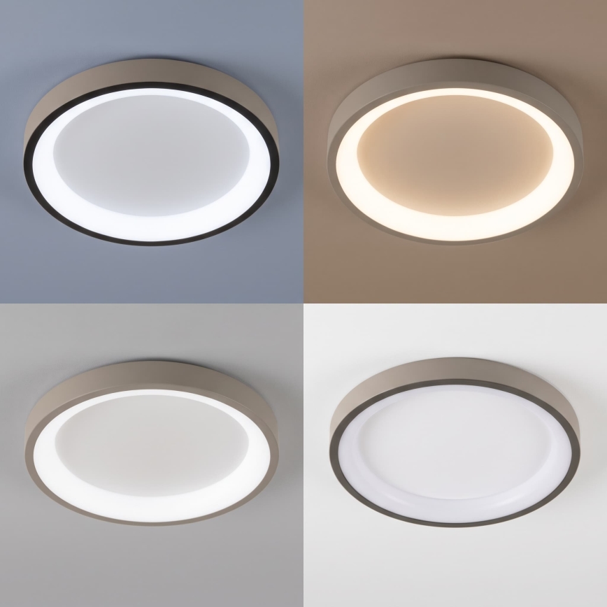 BRILAGI - LED Димируема таванна лампа FALCON SLIM LED/42W/230V 3000-6500K Ø 50 cm бял/бежов + дистанционно управление