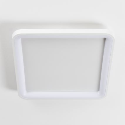 Brilagi - LED димируемо таванно осветително тяло FALCON SLIM LED/50W/230V 3000-6500K 50x50 cm бяло + дистанционно управление