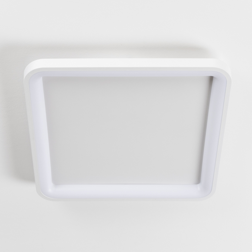 Brilagi - LED димируемо таванно осветително тяло FALCON SLIM LED/50W/230V 3000-6500K 50x50 cm бяло + дистанционно управление