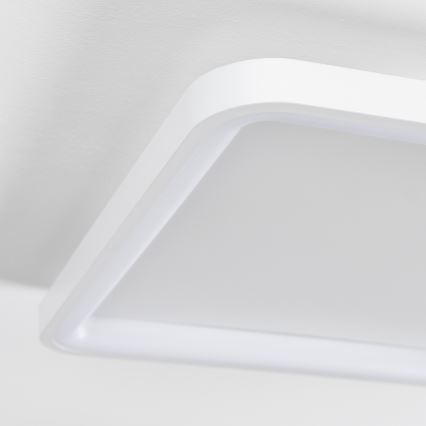 Brilagi - LED димируемо таванно осветително тяло FALCON SLIM LED/50W/230V 3000-6500K 50x50 cm бяло + дистанционно управление