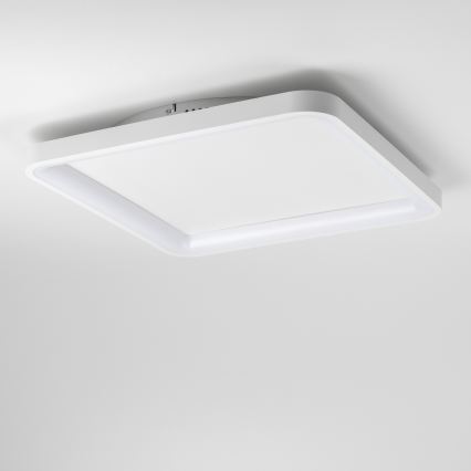 Brilagi - LED димируемо таванно осветително тяло FALCON SLIM LED/50W/230V 3000-6500K 50x50 cm бяло + дистанционно управление