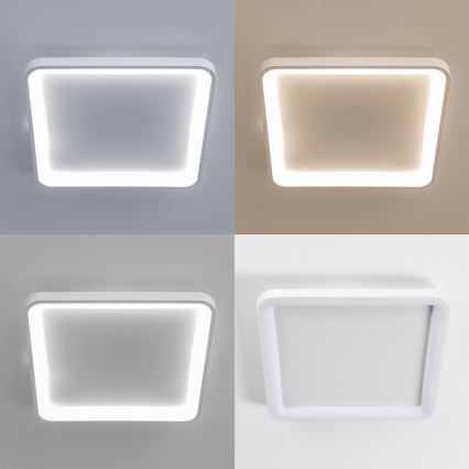 Brilagi - LED димируемо таванно осветително тяло FALCON SLIM LED/50W/230V 3000-6500K 50x50 cm бяло + дистанционно управление