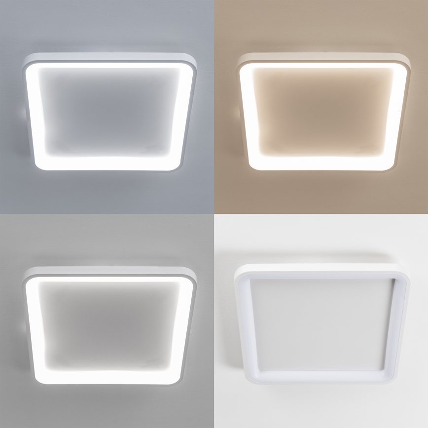 Brilagi - LED димируемо таванно осветително тяло FALCON SLIM LED/50W/230V 3000-6500K 50x50 cm бяло + дистанционно управление