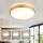 Brilagi - димируемо LED таванно осветително тяло GLASS POOL DOUBLE LED/48W/230V 3000-6000K 40 см златисто + дистанционно управление