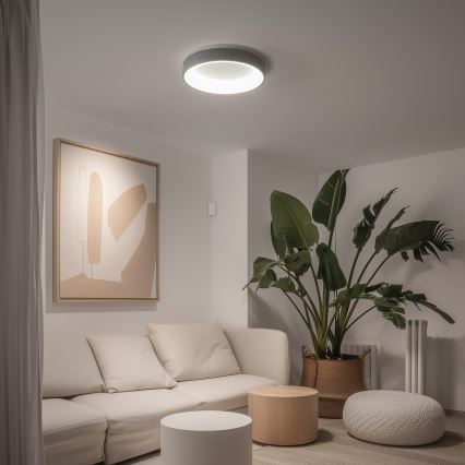 Brilagi - Димируем таванен LED плафон FALCON LED/40W/230V 3000-6500K Ø 45 см сив + дистанционно управление