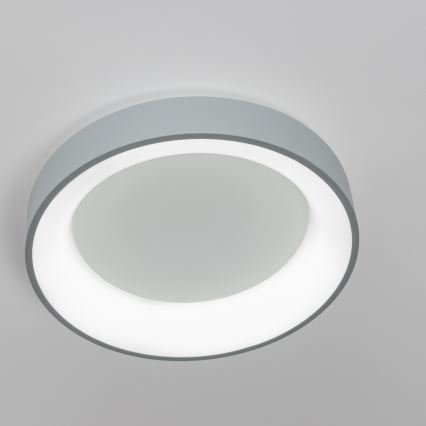 Brilagi - Димируем таванен LED плафон FALCON LED/40W/230V 3000-6500K Ø 45 см сив + дистанционно управление