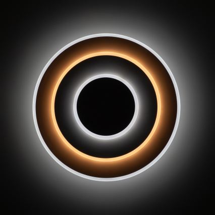 Brilagi - LED димируемо таванно осветително тяло MODERN LED/58W/230V 3000-6000K диаметър 46,3 cm + дистанционно управление