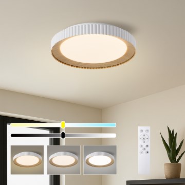 Brilagi - димируемо LED таванно осветително тяло NEXO LED/48W/230V 3000-6000K бяло Ø 43 см + дистанционно управление