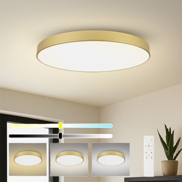 Brilagi - Димируемо LED таванно осветително тяло POOL SMART LED/180W/230V 3000-6000K 120 cm златно Wi-Fi Tuya + дистанционно управление