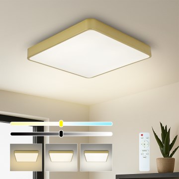 Brilagi - Димируемо LED таванно осветително тяло POOL SQUARE LED/36W/230V 3000-6000K 40x40 cm златисто + дистанционно управление