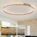 Brilagi - Димируемо LED таванно осветително тяло PORTOFINO LED/85W/230V 3000-6000K диаметър 120 см бежово + дистанционно управление