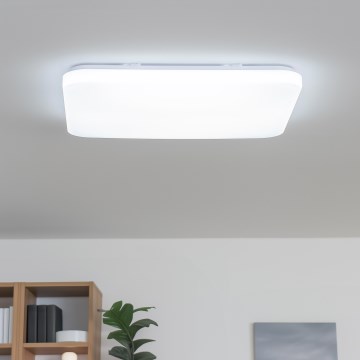 Brilagi - Димируемо LED таванно осветително тяло SHINE LED/24W/230V Ø 60 см 3000/4000/6500K кремаво + дистанционно управление
