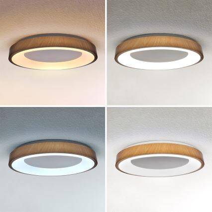 Brilagi - Димируемо LED таванно осветително тяло DORIA LED/60W/230V 3000-6500K Ø 60 см + дистанционно управление