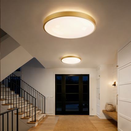 Brilagi - Димируемо LED таванно осветително тяло GLASS POOL DOUBLE LED/80W/230V 3000-6000K 60 cm златисто + дистанционно управление