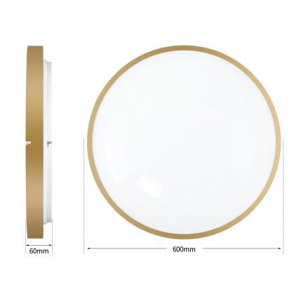 Brilagi - Димируемо LED таванно осветително тяло GLASS POOL DOUBLE LED/80W/230V 3000-6000K 60 cm златисто + дистанционно управление