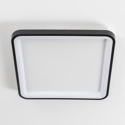 Brilagi - LED димируемо таванно осветително тяло FALCON SLIM LED/50W/230V 3000-6500K 50x50 cm черно + дистанционно управление