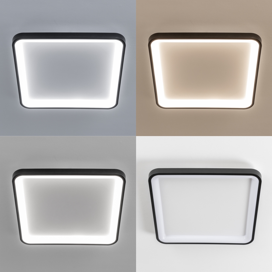 Brilagi - LED димируемо таванно осветително тяло FALCON SLIM LED/50W/230V 3000-6500K 50x50 cm черно + дистанционно управление