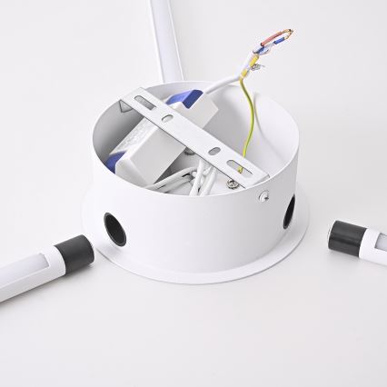 Brilagi - LED Аплик LUGO TRE LED/14W/230V бял