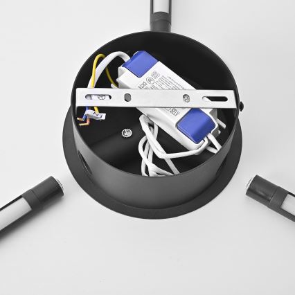 Brilagi - LED Аплик LUGO TRE LED/14W/230V черен