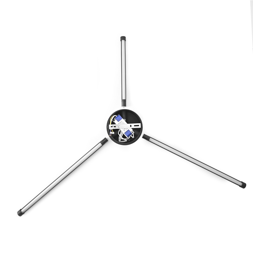 Brilagi - LED Аплик LUGO TRE LED/14W/230V черен