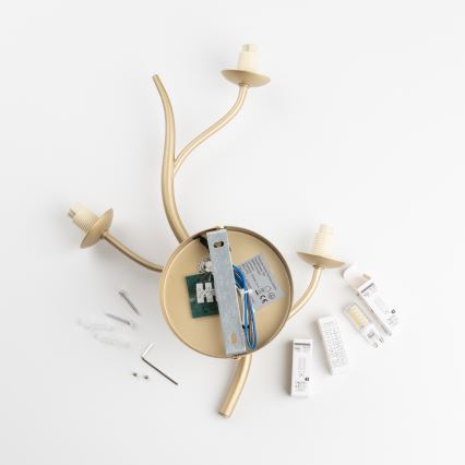 Brilagi - LED аплик MISTEL 3xG9/3W/230V златист/бял