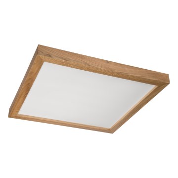 Brilagi - LED баня таванно осветление WOODY FRAME LED/50W/230V 60x60 cm IP44 дъб