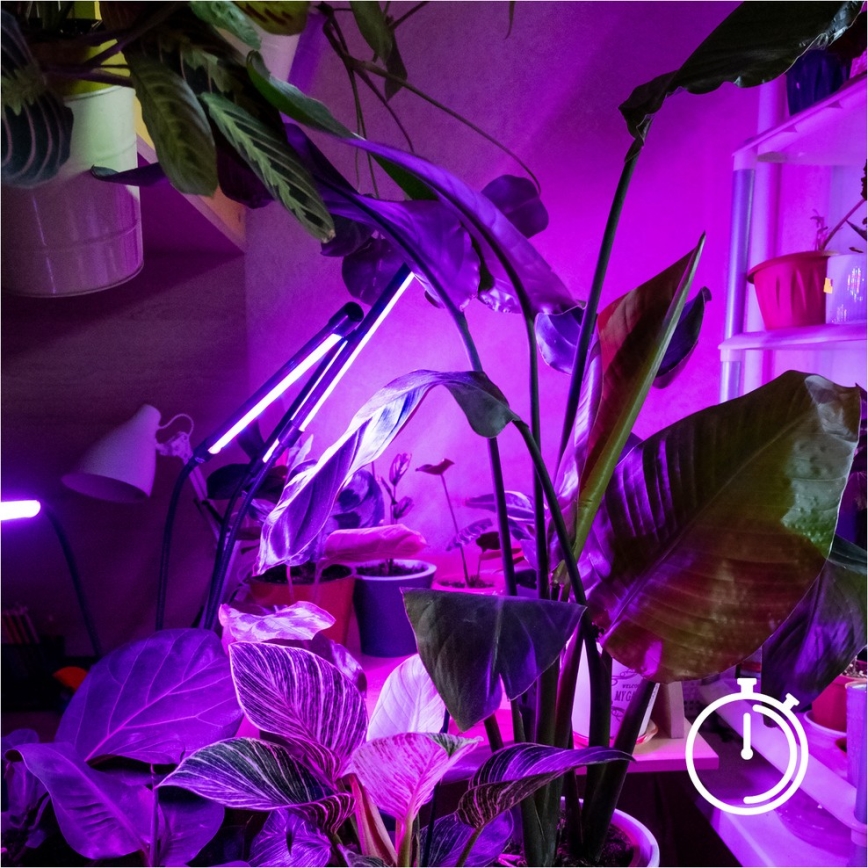 Brilagi - LED Димируем гъвкав лампион за отглеждане на растения VITABLOOM 4xLED/7,5W/230V черен