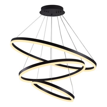 Brilagi - LED Димируем пендел CIRCLE LED/125W/230V 3000-6500K черен + дистанционно управление