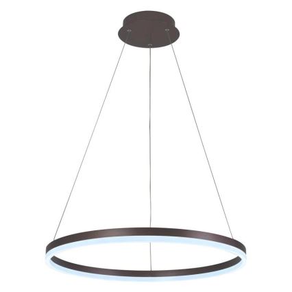 Brilagi - LED Димируем пендел CIRCLE LED/42W/230V 3000-6500K кафяв + дистанционно управление