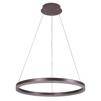 Brilagi - LED Димируем пендел CIRCLE LED/42W/230V 3000-6500K кафяв + дистанционно управление