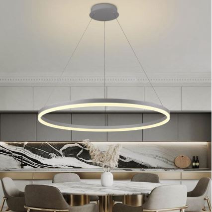 Brilagi - LED Димируем пендел CIRCLE LED/55W/230V 3000-6500K сребрист + дистанционно управление