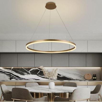 Brilagi - LED Димируем пендел CIRCLE LED/55W/230V 3000-6500K златист + дистанционно управление