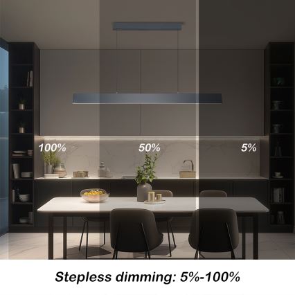 Brilagi - LED Димируем пендел SLIMLINE LED/40W/230V 3000-6000K антрацит + дистанционно управление