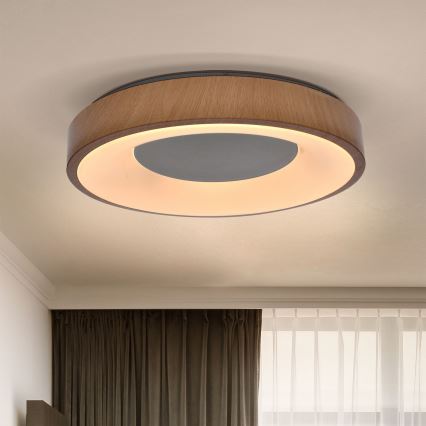 Brilagi - LED Димируем плафон DORIA LED/48W/230V 3000-6500K Ø 39 см + дистанционно управление