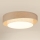 Brilagi - LED Димируем плафон DOVER SHINE LED/24W/230V 3000/4000/6500K сив/кремав + дистанционно управление